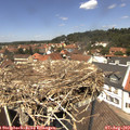 13_00-nest.jpg