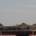13_05-mast.jpg