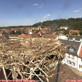 13_10-nest.jpg