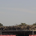 13_15-mast.jpg