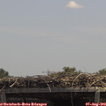 13_20-mast.jpg