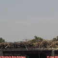 13_25-mast.jpg