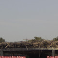 13_30-mast.jpg