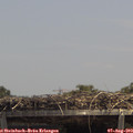 13_40-mast.jpg