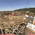 13_40-nest.jpg