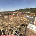 13_50-nest.jpg