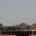 13_55-mast.jpg