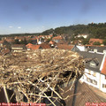 13_55-nest.jpg