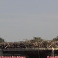 14_00-mast.jpg