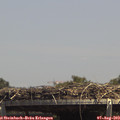 14_15-mast.jpg