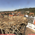 14_15-nest.jpg