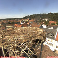 14_25-nest.jpg