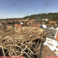 14_30-nest.jpg