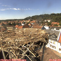 15_00-nest.jpg