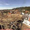 15_05-nest.jpg