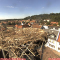 15_20-nest.jpg