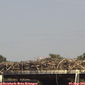 15_25-mast.jpg