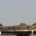15_30-mast.jpg