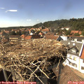 15_40-nest.jpg