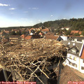 15_55-nest.jpg
