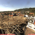 16_10-nest.jpg