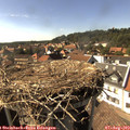 16_20-nest.jpg