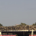 16_25-mast.jpg