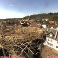 16_30-nest.jpg
