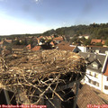 16_40-nest.jpg
