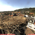 17_00-nest.jpg