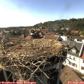 17_05-nest.jpg