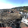 17_10-nest.jpg