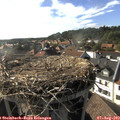 17_45-nest.jpg
