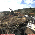 17_55-nest.jpg