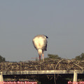 18_20-mast.jpg