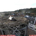 18_45-nest.jpg