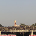 18_55-mast.jpg
