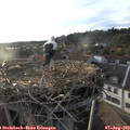 19_25-nest.jpg