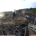 19_40-nest.jpg