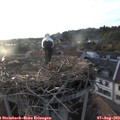 19_45-nest.jpg