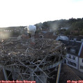 20_05-nest.jpg