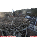 20_15-nest.jpg