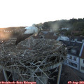 20_45-nest.jpg