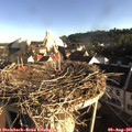 07_45-nest.jpg