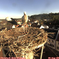 08_05-nest.jpg