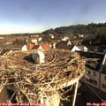08_40-nest.jpg