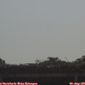 09_00-mast.jpg