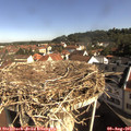 09_30-nest.jpg