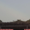 10_40-mast.jpg