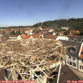 11_15-nest.jpg